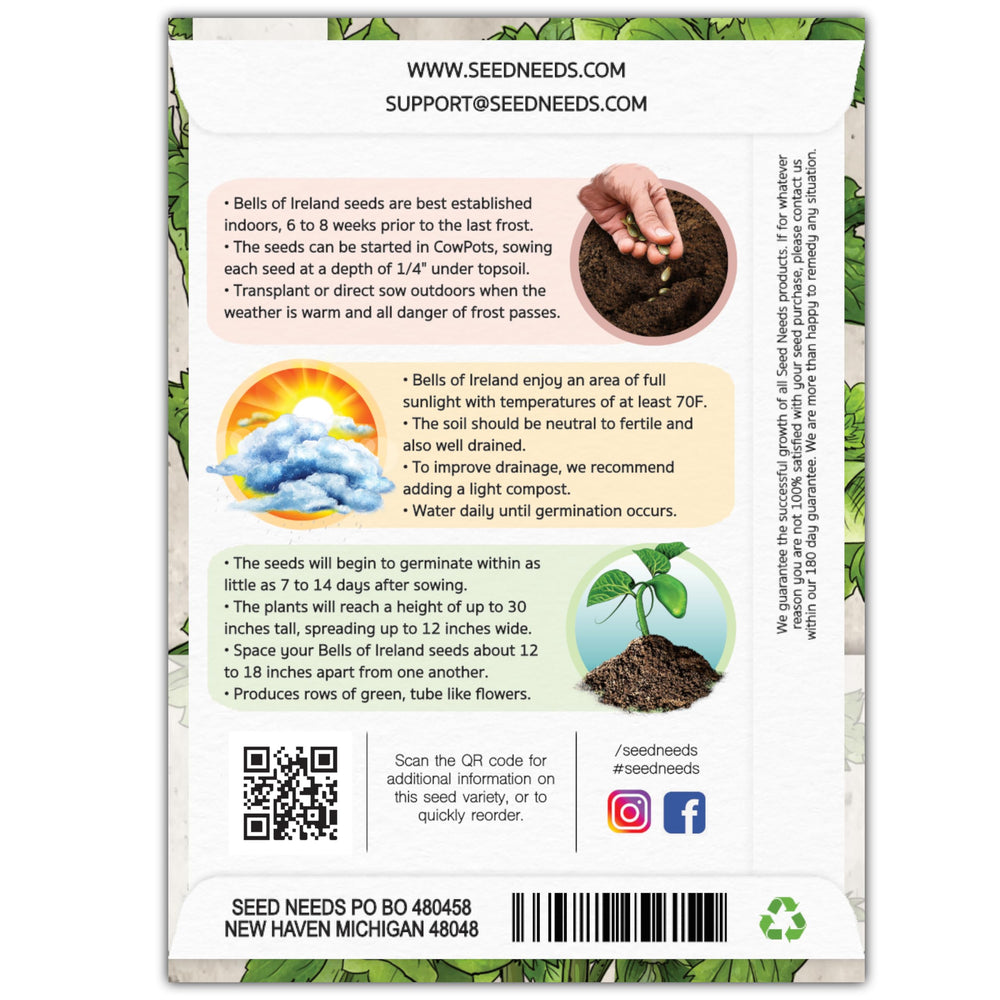 Seed Needs Bells of Ireland seeds ideal for borders, adding year-round garden structure.
