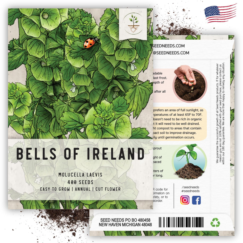 Seed Needs Bells of Ireland fresh seeds for quick sowing results.