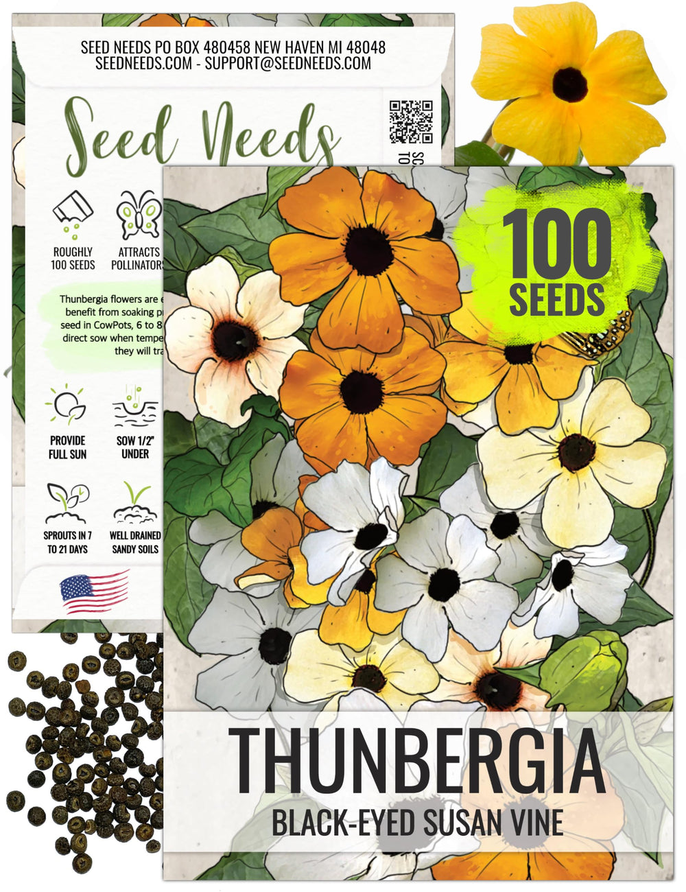 Seed Needs Black-Eyed Susan Vine seed pack front with heirloom seeds for sunny fences