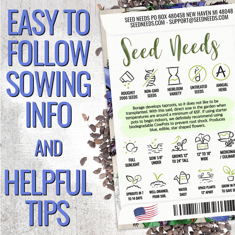 Seed Needs blue borage flowers in bloom for vibrant garden color