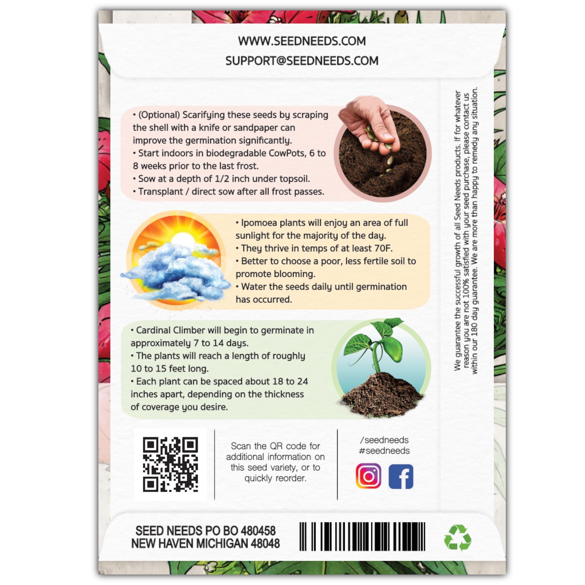 Seed Needs Cardinal Climber seeds pack back with sowing details for vines
