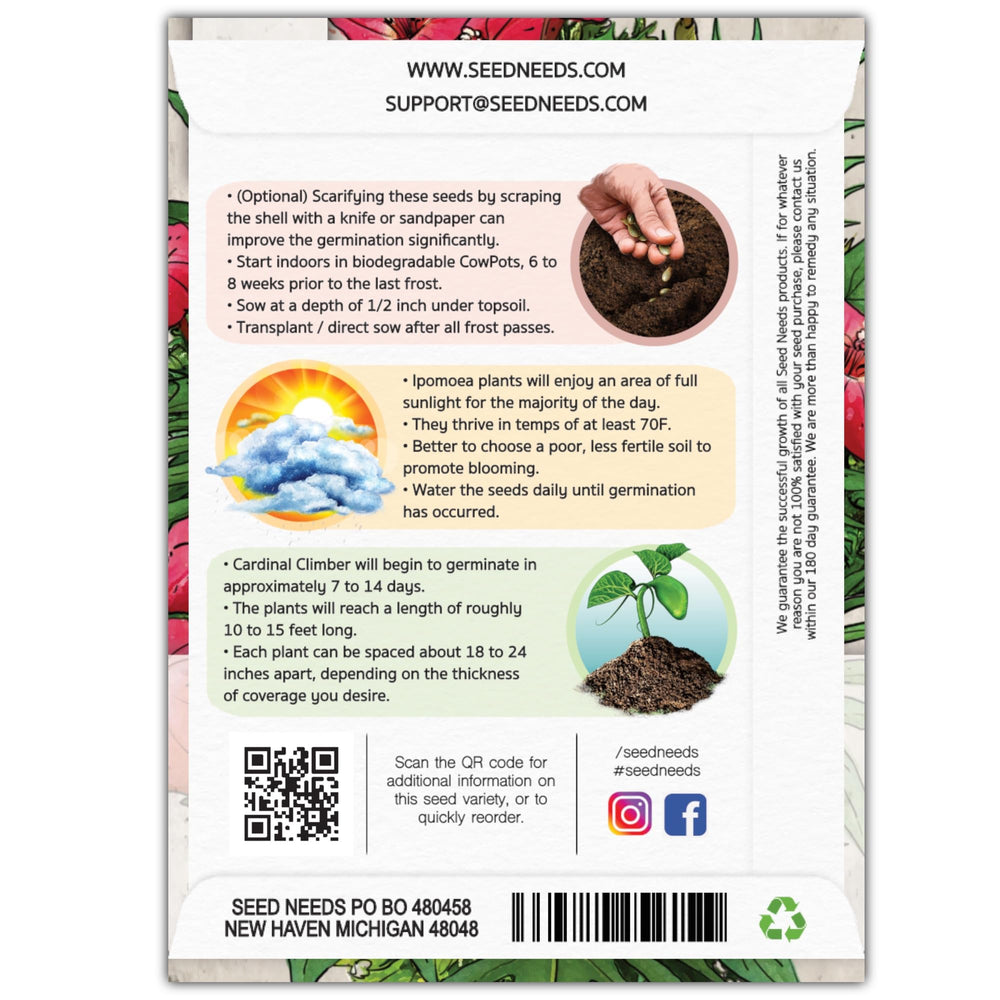 Seed Needs Cardinal Climber seeds pack back with sowing details for vines