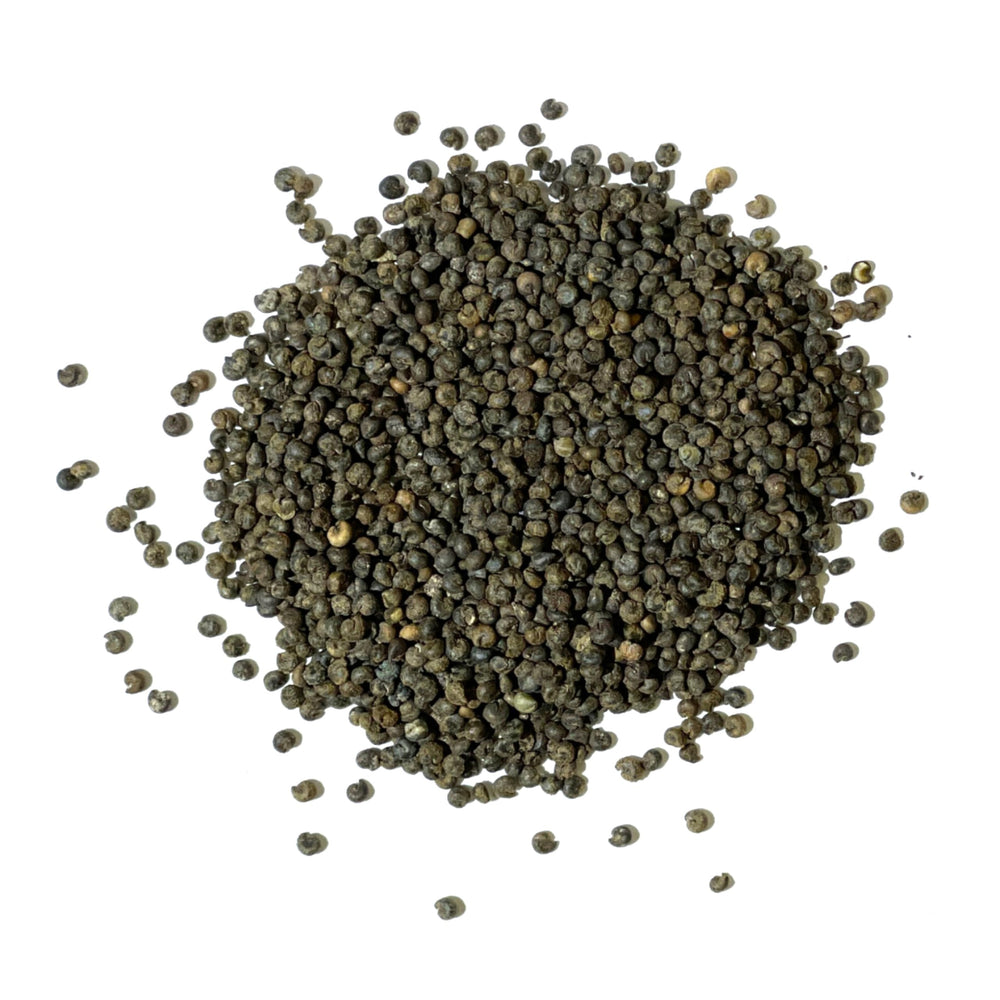 Seed Needs Cleome packet illustration on the back with sowing guidance