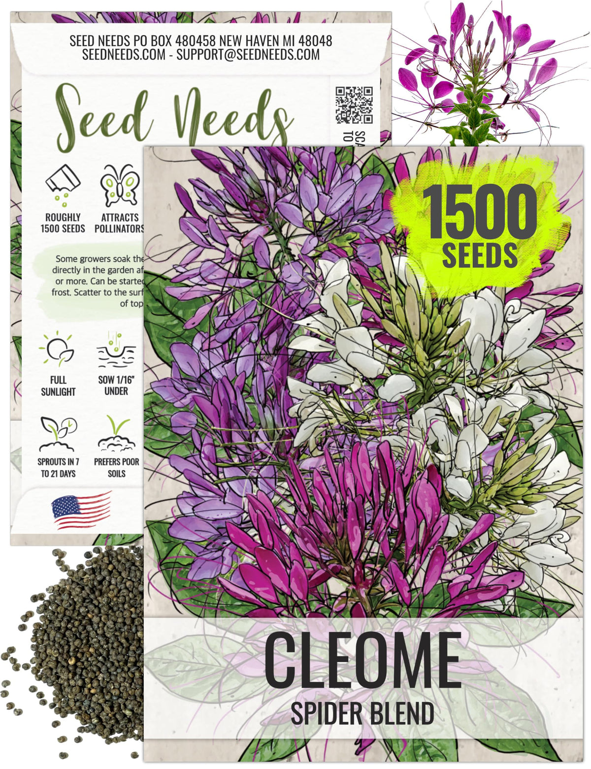 Seed Needs Cleome seeds packet front artwork for planning a pollinator-friendly garden