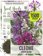 Seed Needs Cleome seeds packet front artwork for planning a pollinator-friendly garden