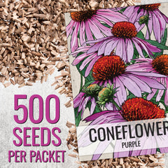 Seed Needs coneflower seed packet art with sowing details