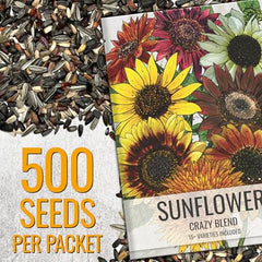 Close-up of Seed Needs Crazy Blend varieties showing color and bloom shapes for visual interest.