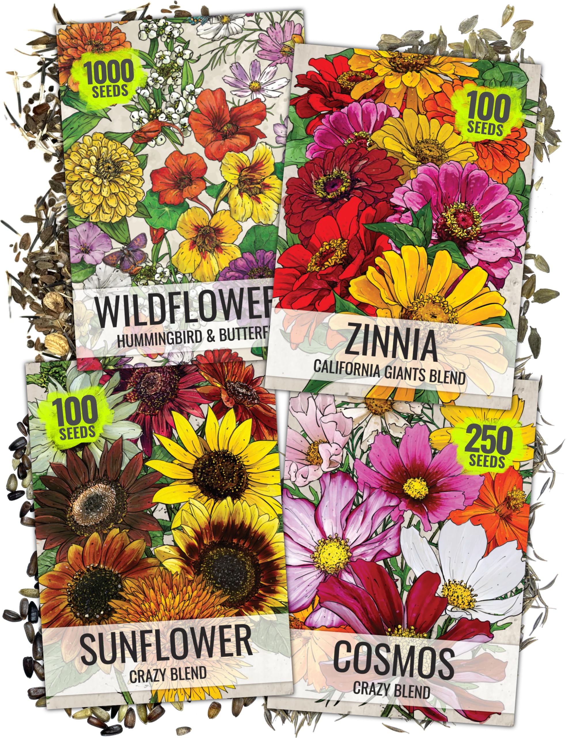 Seed Needs Crazy Cosmos Mix blooms attract butterflies for a vibrant garden
