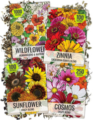 Seed Needs Crazy Cosmos Mix blooms attract butterflies for a vibrant garden