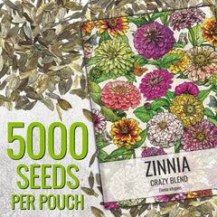 Seed Needs Crazy Zinnia Mix plants reach 2 to 3 feet tall.