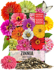 Seed Needs Crazy Zinnia Mix bloom closeup shows vibrant colors for bouquets.