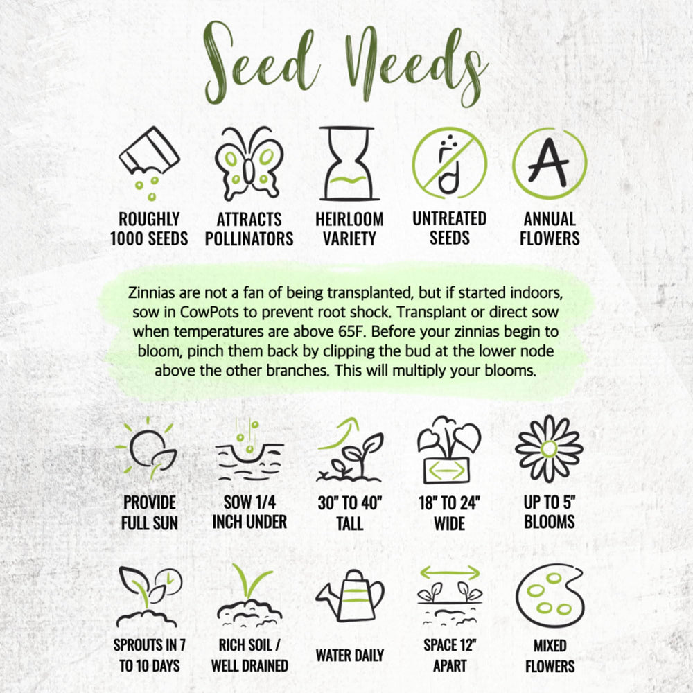 Seed Needs Crazy Zinnia Mix GMO-free, mostly open-pollinated seeds.