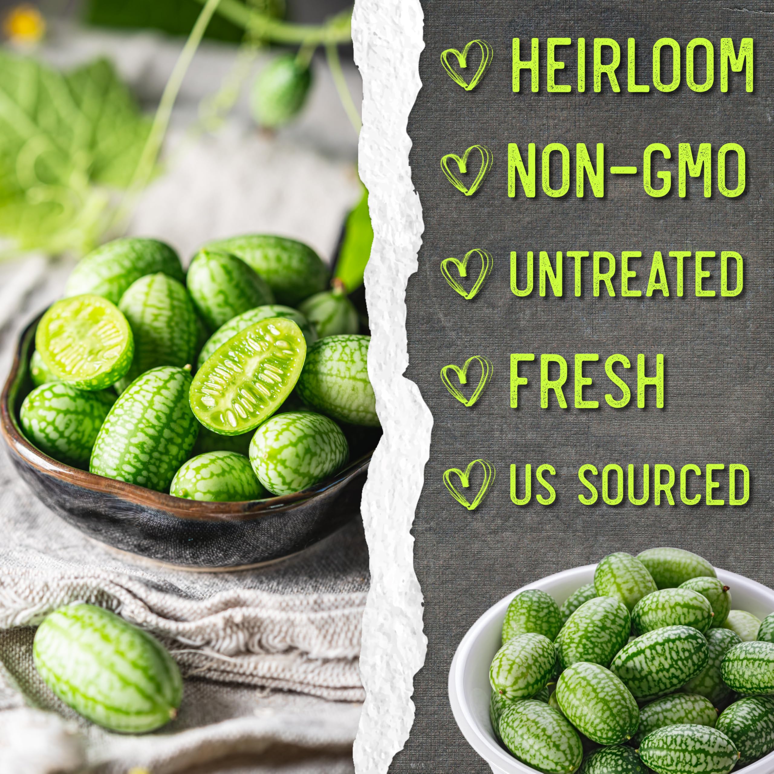 Seed Needs Cucamelon packaging with sowing instructions