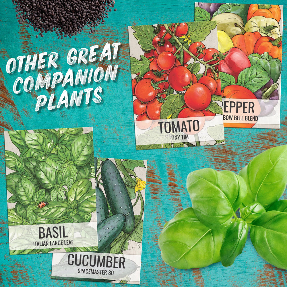 Seed Needs Cucamelon packaging: tear- and moisture-resistant for freshness