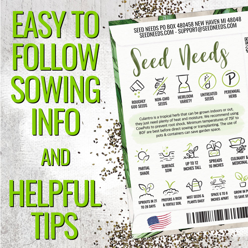 Seed Needs Culantro leaves harvest preview highlights vigorous foliage