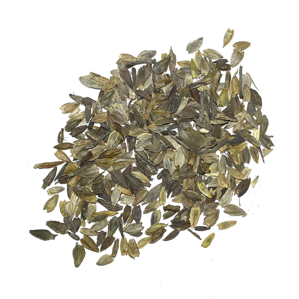 Seed Needs cut flowers zinnia stems suited for vases and bouquets.