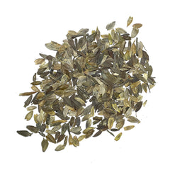 Seed Needs cut flowers zinnia stems suited for vases and bouquets.