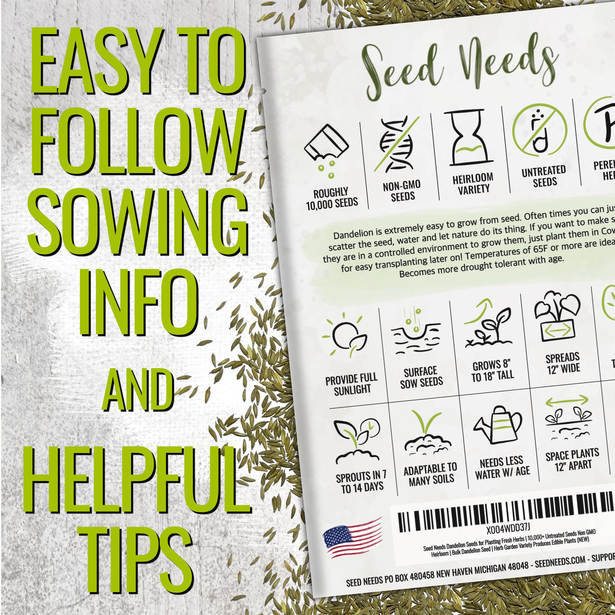 Seed Needs Dandelion greens ready to harvest, fresh and crisp for salads.