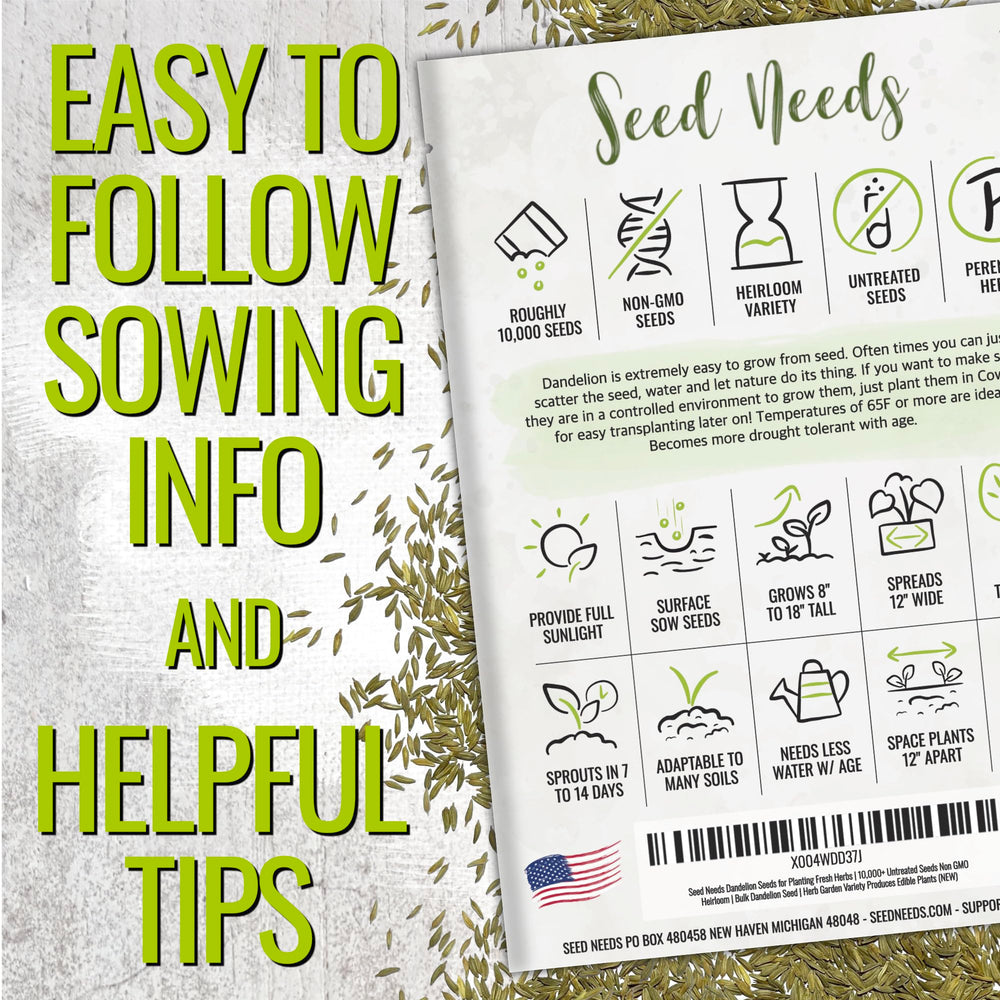 Seed Needs Dandelion greens ready to harvest, fresh and crisp for salads.