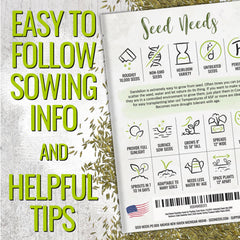 Seed Needs Dandelion greens ready to harvest, fresh and crisp for salads.