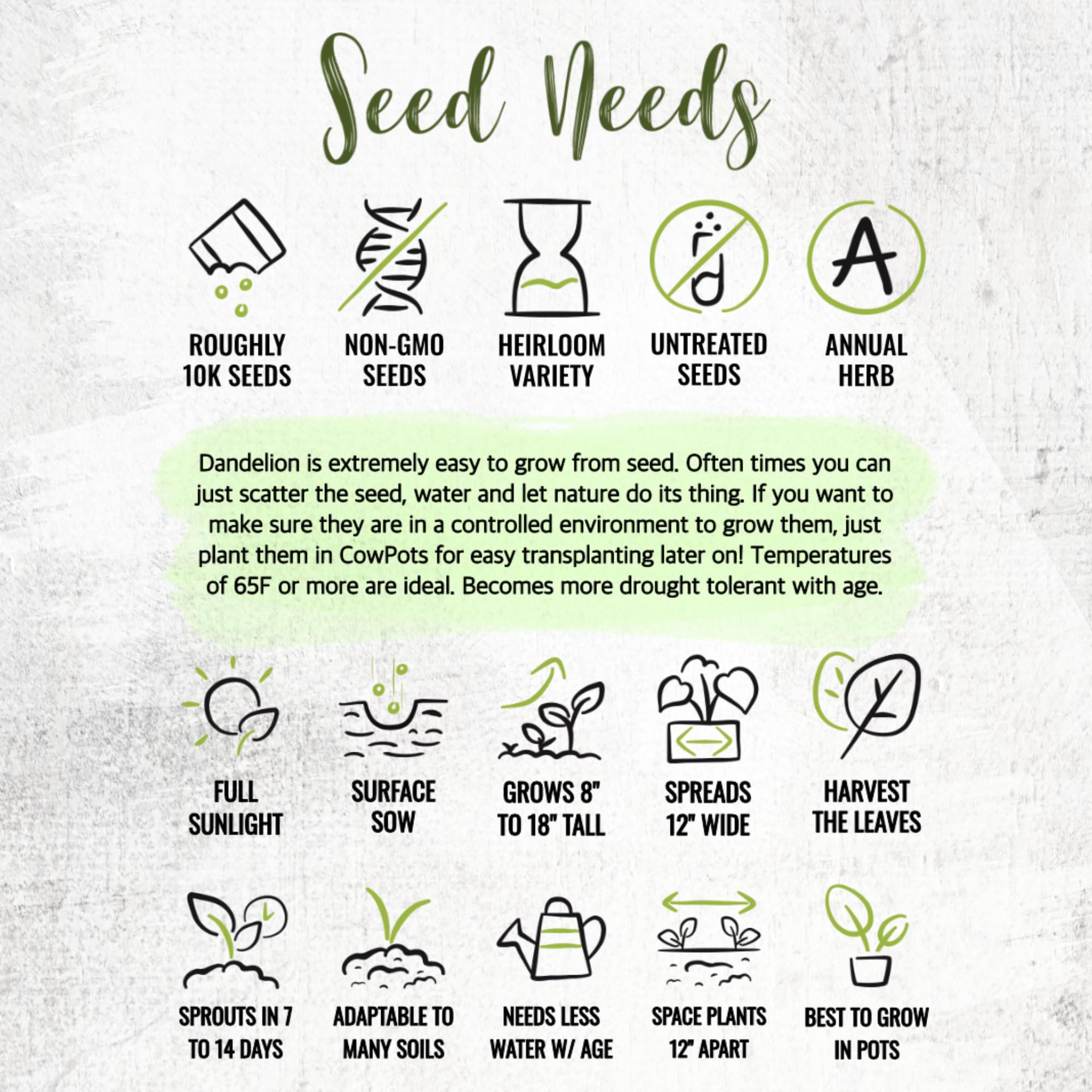 Seed Needs Dandelion seeds bulk bundles, great for sharing or long-term storage.
