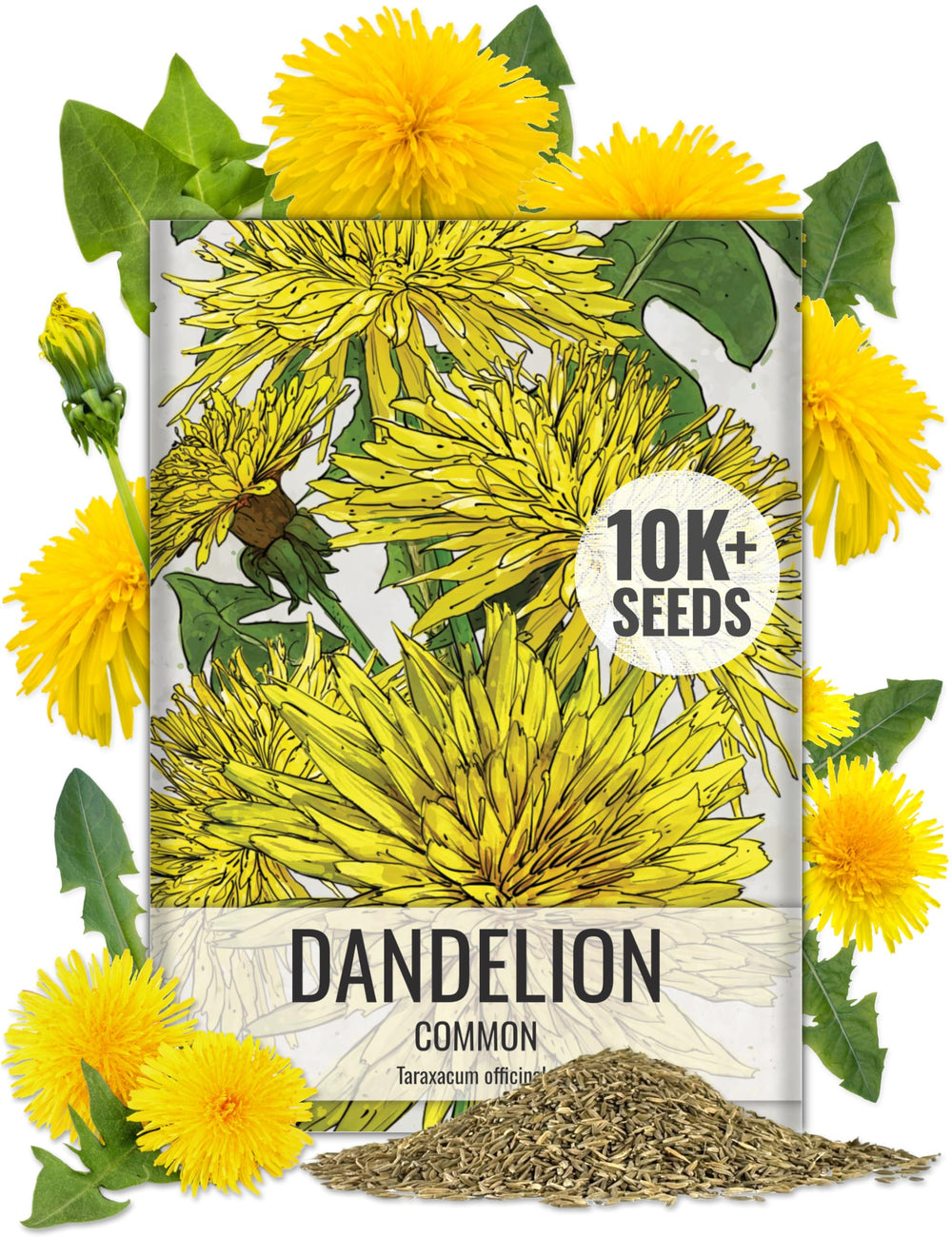 Seed Needs Dandelion seeds in packaging closeup, ideal for easy sowing in your herb garden.