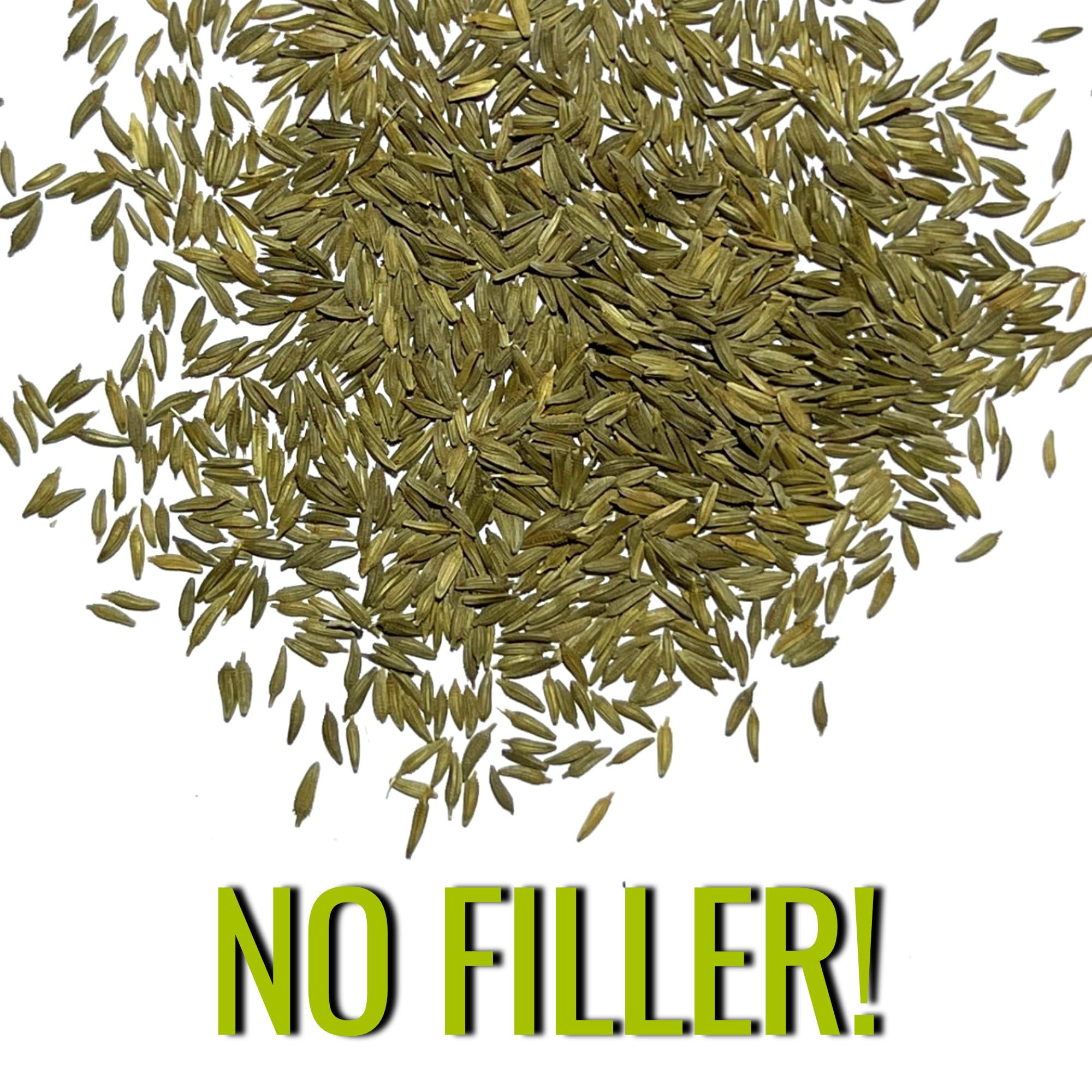 Seed Needs Dandelion seeds in moisture-proof packaging, keeping seeds fresh for next season.