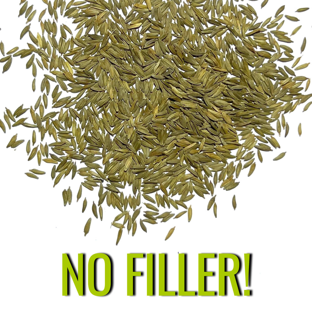 Seed Needs Dandelion seeds in moisture-proof packaging, keeping seeds fresh for next season.