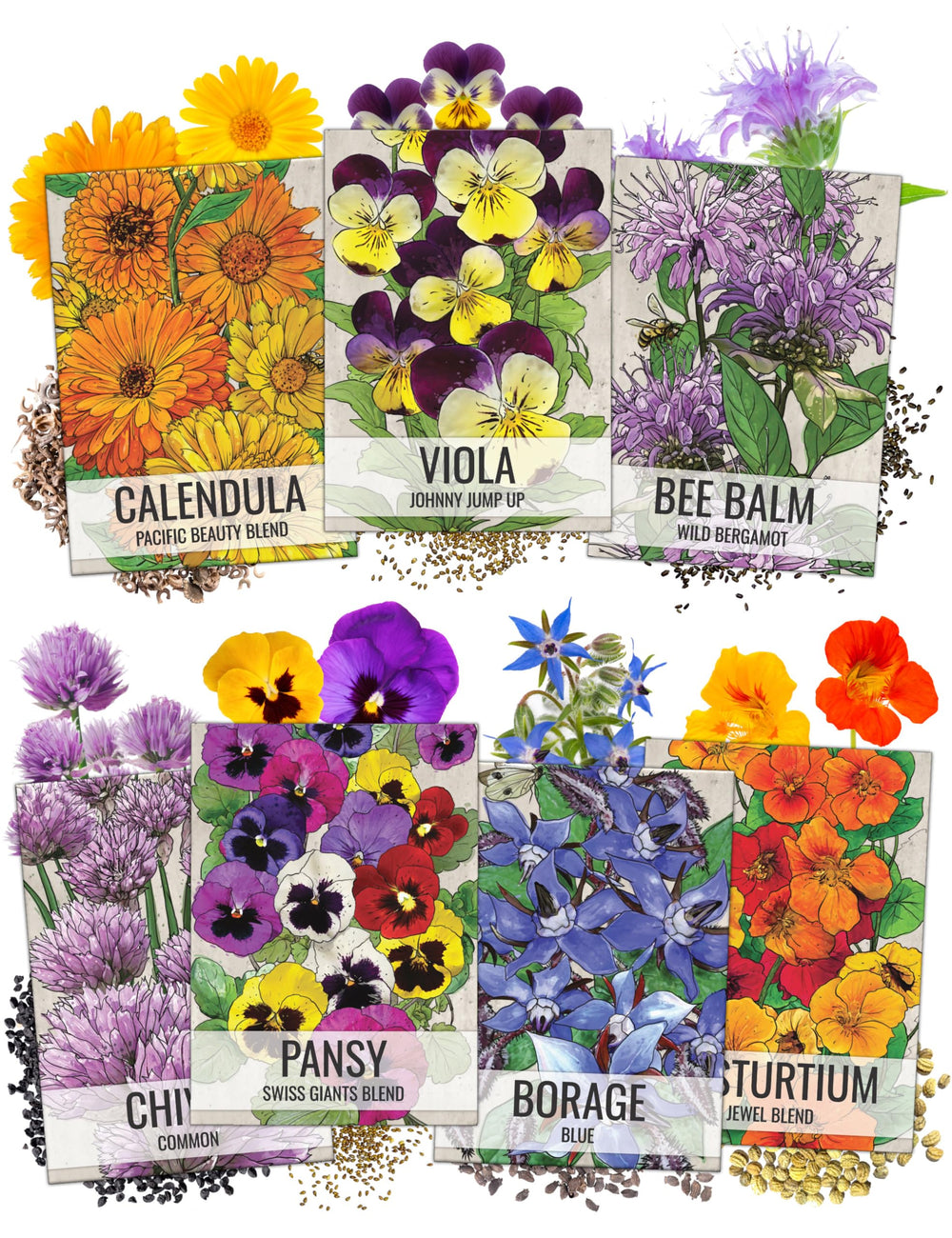 Seed Needs edible wildflower packet front illustration with vibrant blooms
