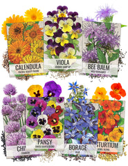Seed Needs edible wildflower packet front illustration with vibrant blooms