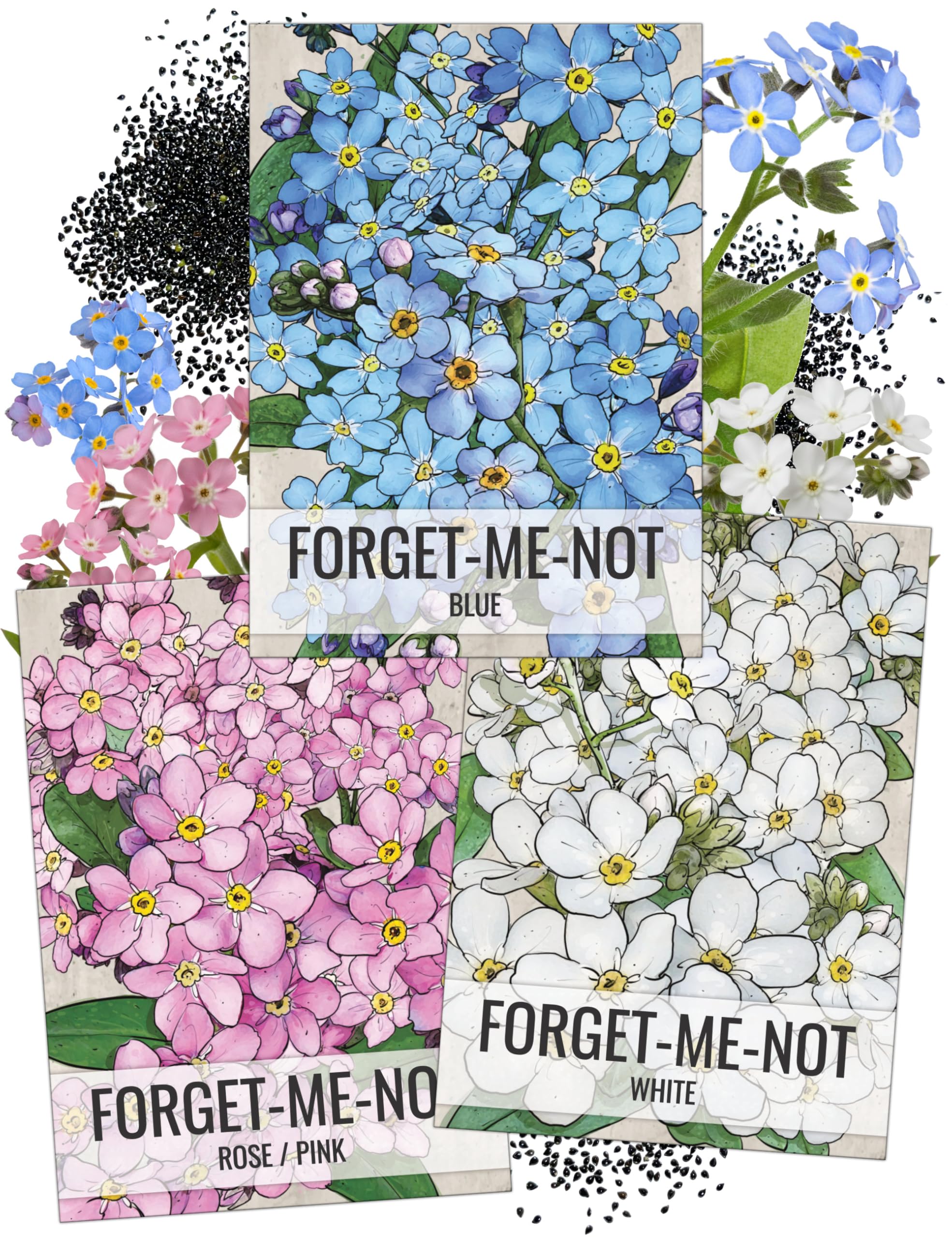 Seed Needs Forget-Me-Not seed packet collection for easy border gardening with blue, pink, and white blooms.