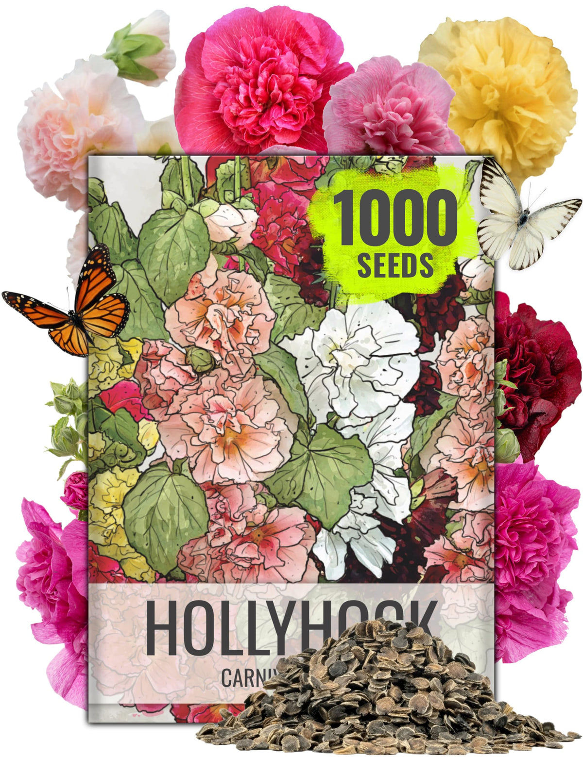 Seed Needs Hollyhock Carnival blooms create a vivid border backdrop.