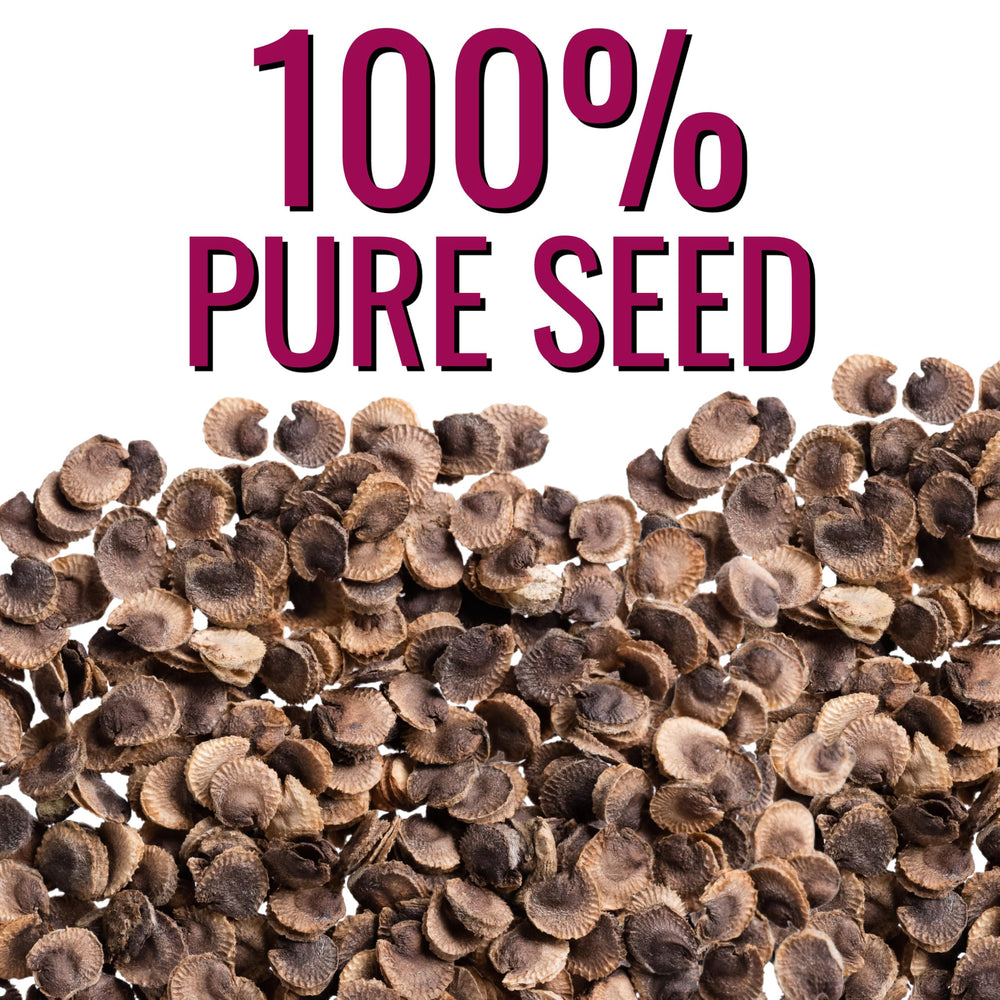 Seed Needs pouch includes sowing details for easy planting.
