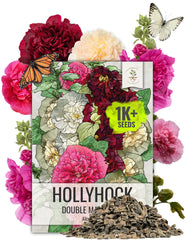 Seed Needs Hollyhock Double Majorette packaging with sowing guide