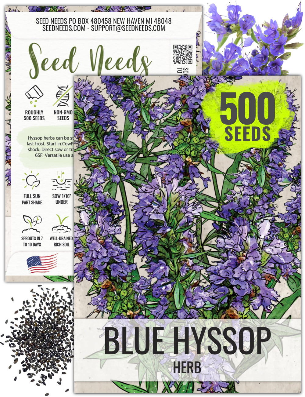 Seed Needs Hyssop blue hyssop flowers attract pollinators in the garden