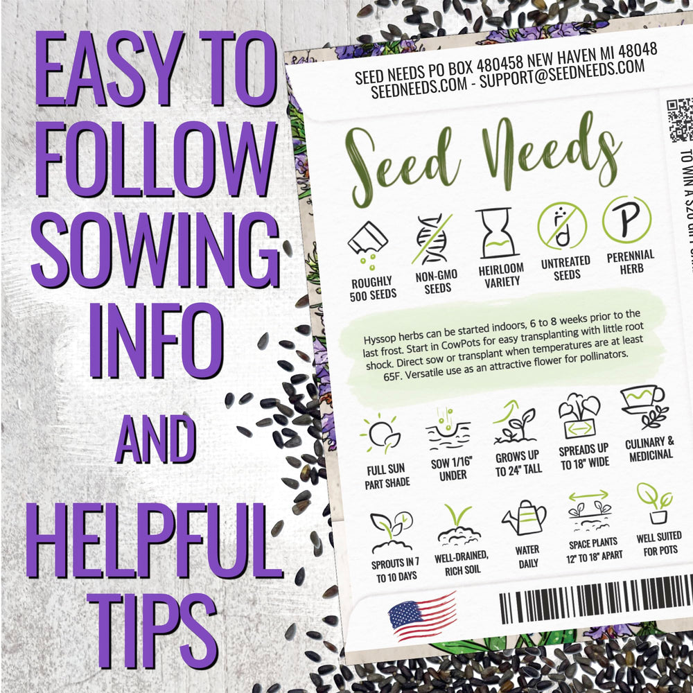 Seed Needs Hyssop seeds flowering clusters invite bees and butterflies