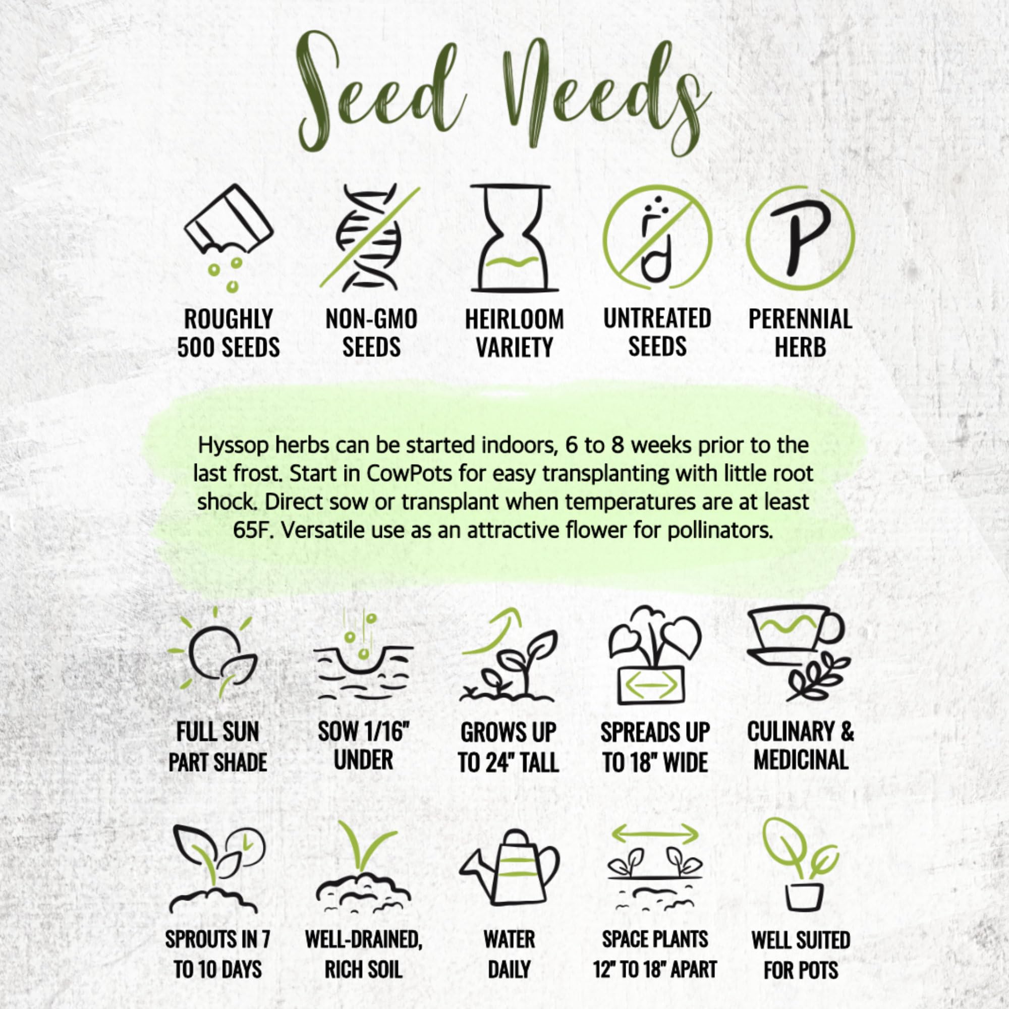 Seed Needs Hyssop seeds fresh packets ready for sowing