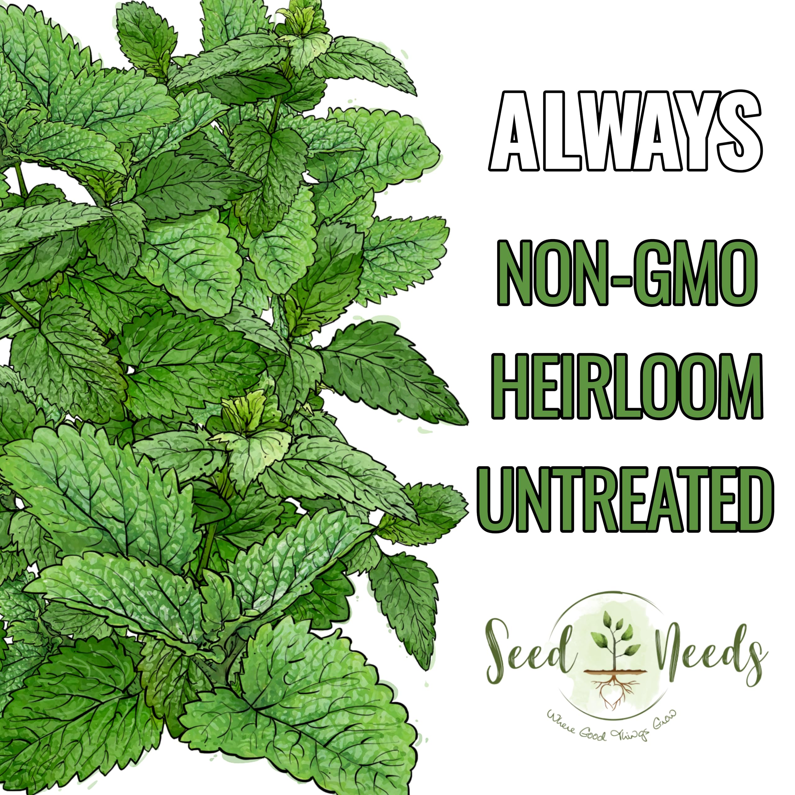 Seed Needs lemon balm thriving in containers for controlled growth and fragrance