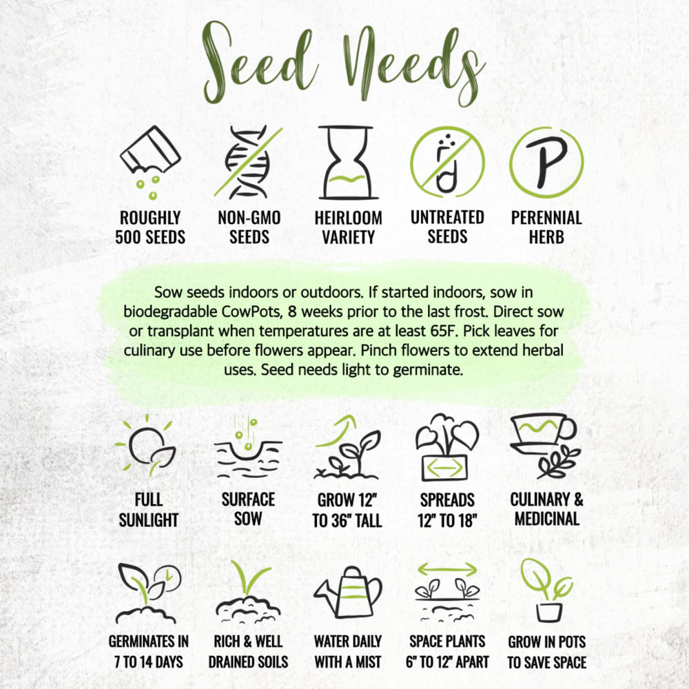 Seed Needs lemon balm seed packets include sowing instructions and illustrations
