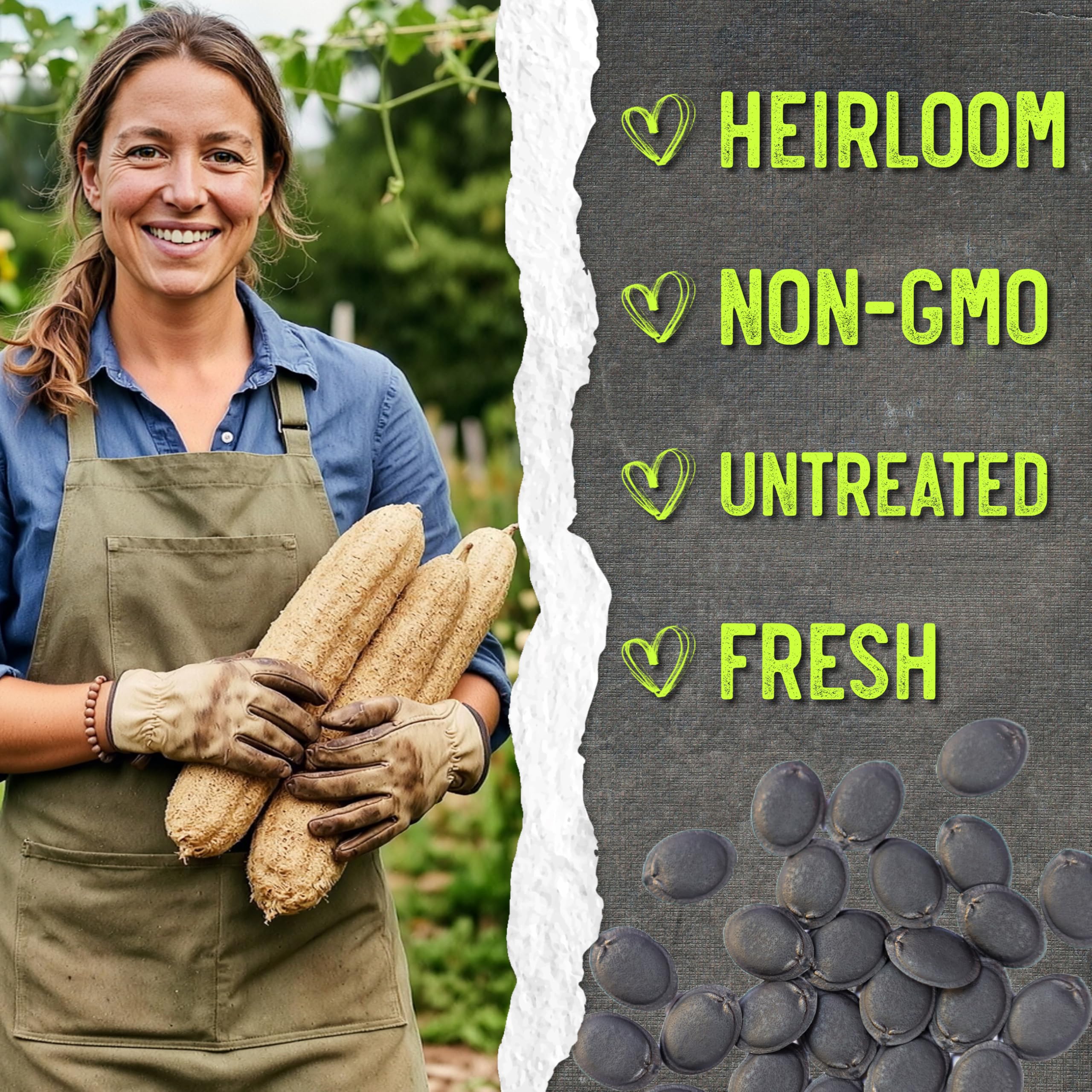 Seed Needs Luffa eco-friendly sponge used in kitchen and bath tasks.