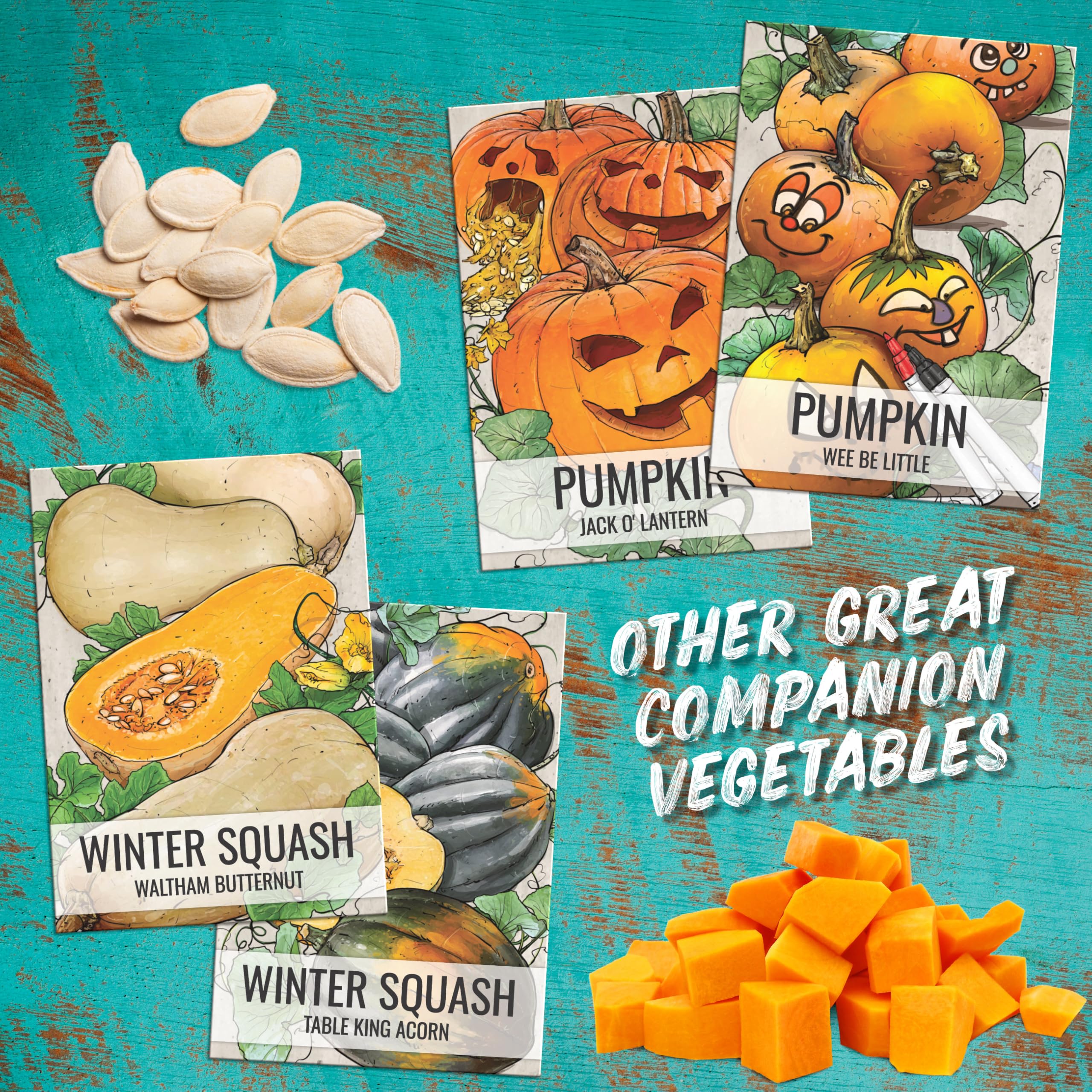 Seed Needs Luffa open-pollinated heirloom seeds for sustainable gardening.