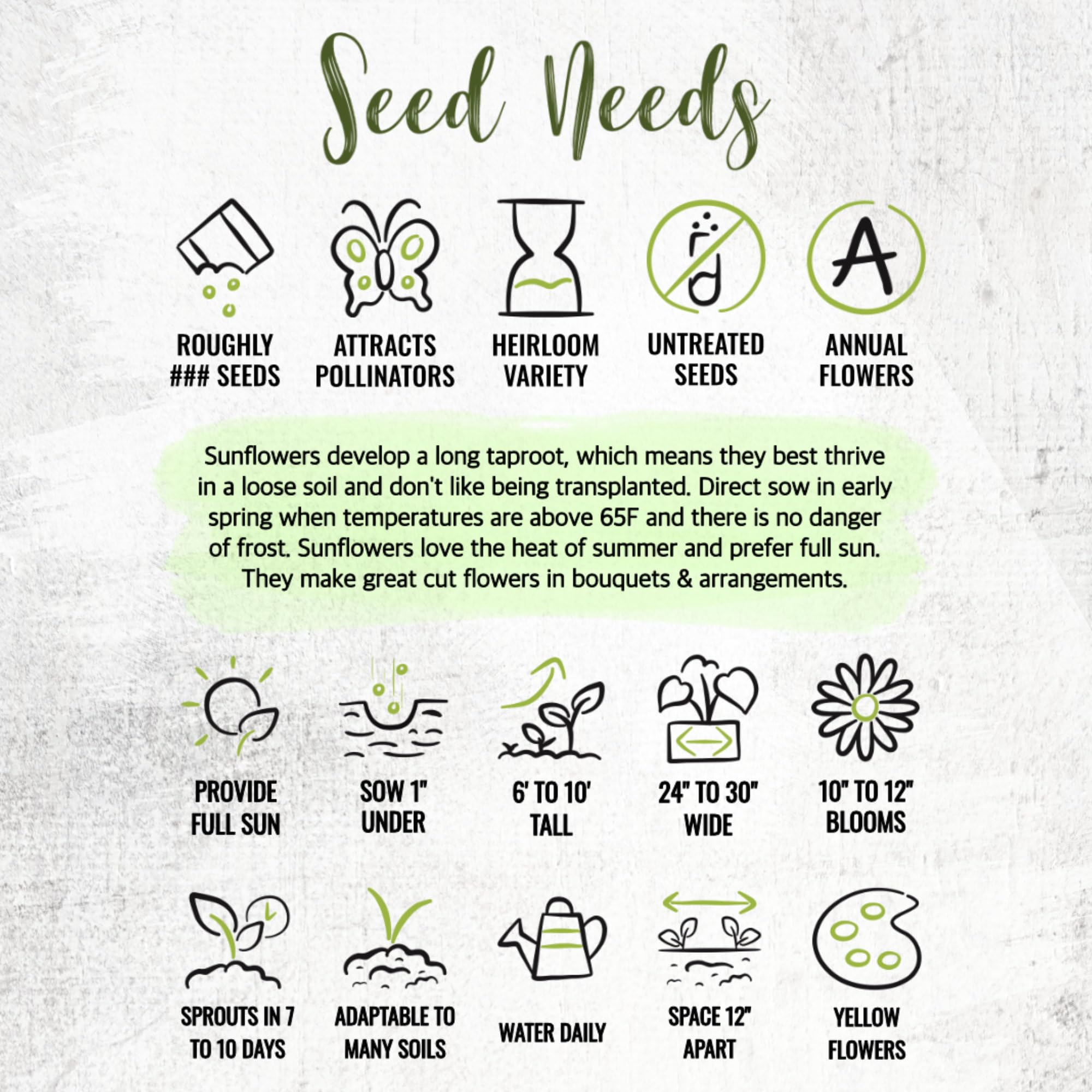 Seed Needs Mammoth Grey Stripe seeds ideal for roasting after harvest.