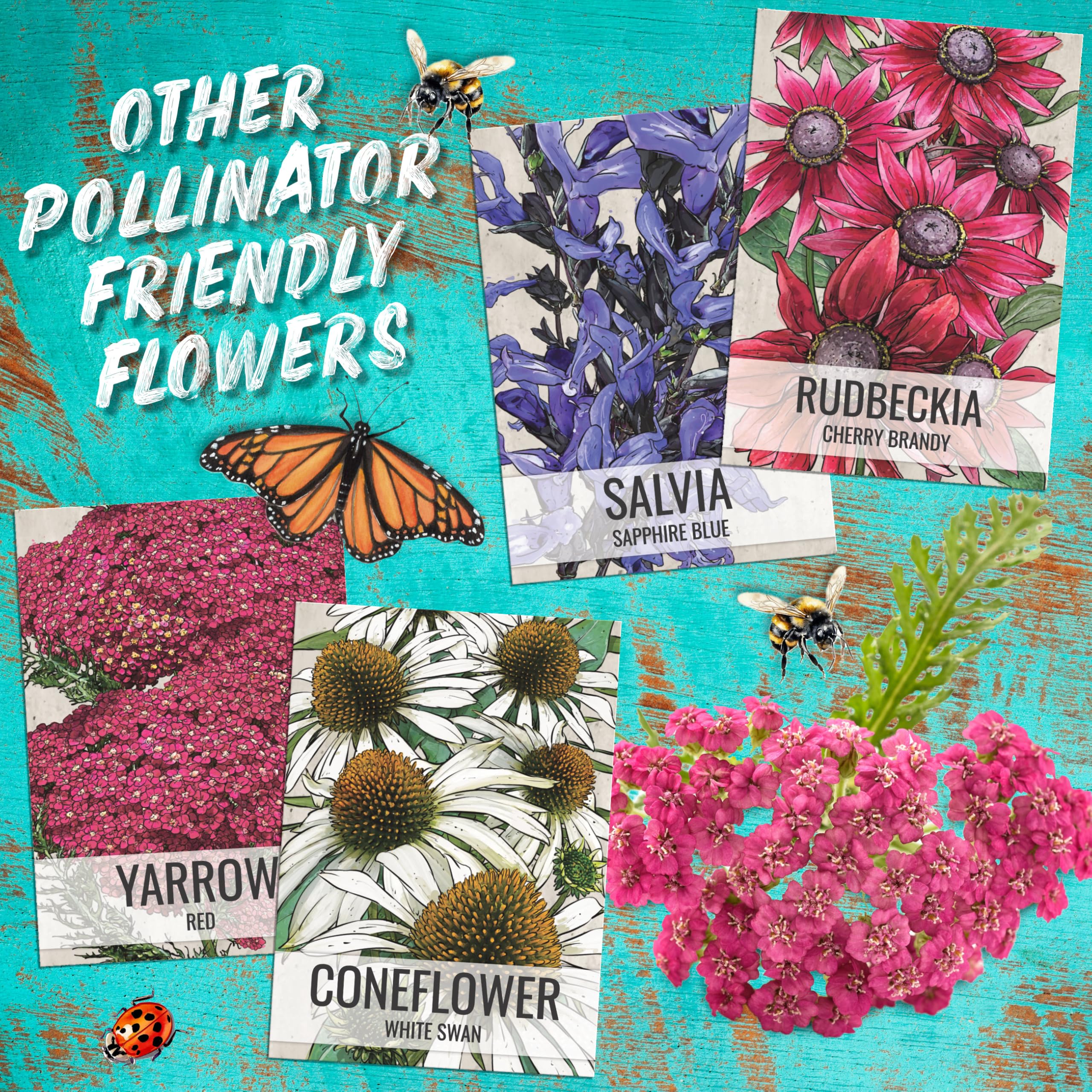 Seed Needs moisture-resistant packaging preserves coneflower seeds