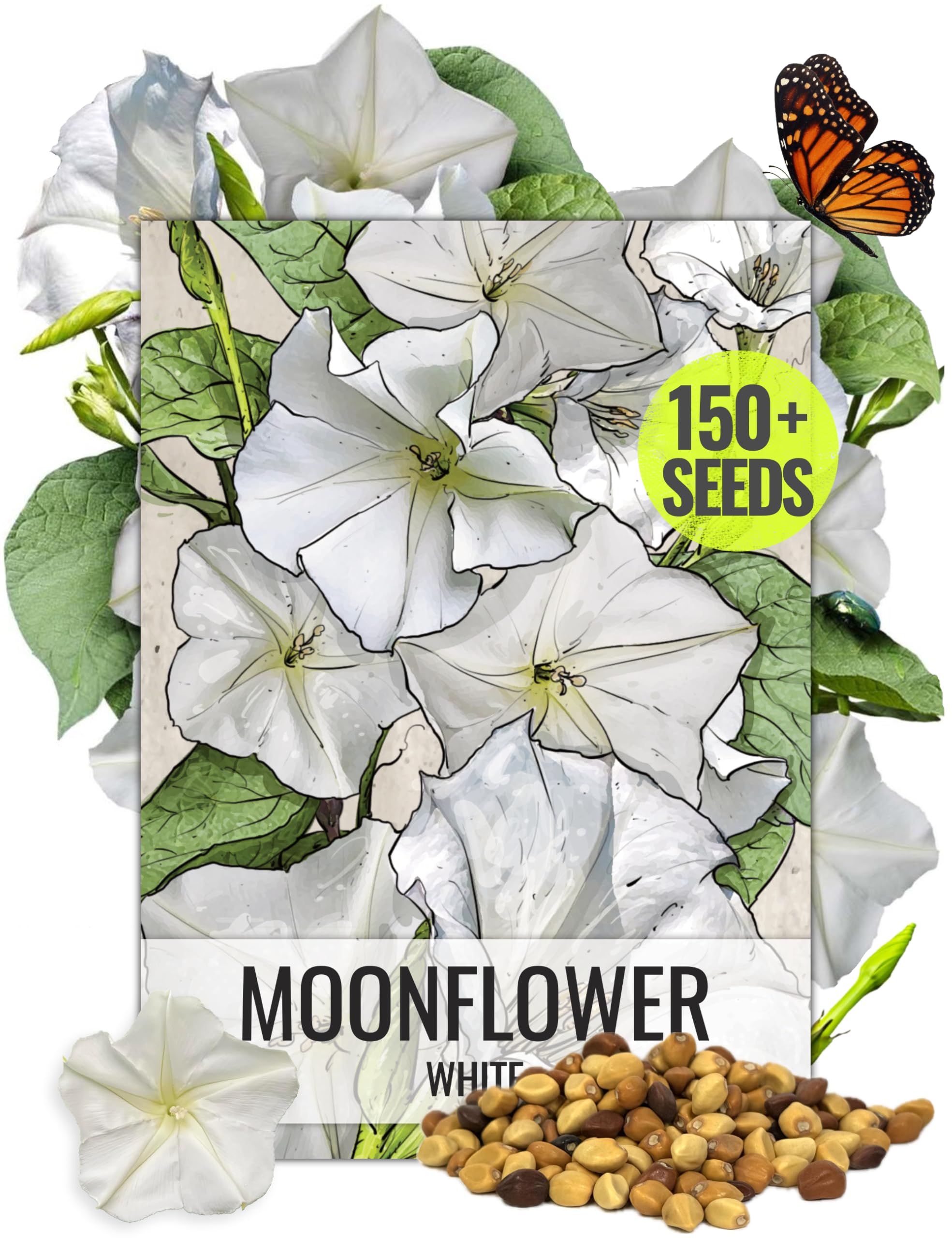 Seed Needs Moonflower seeds packaging illustration with sowing guidance.