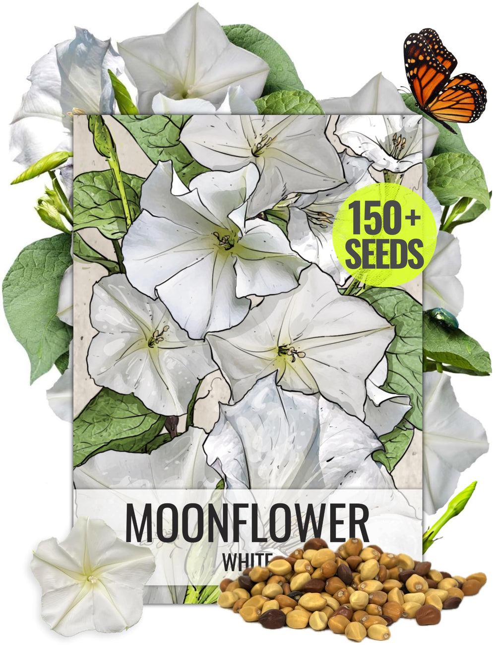 Seed Needs Moonflower seeds packaging illustration with sowing guidance.
