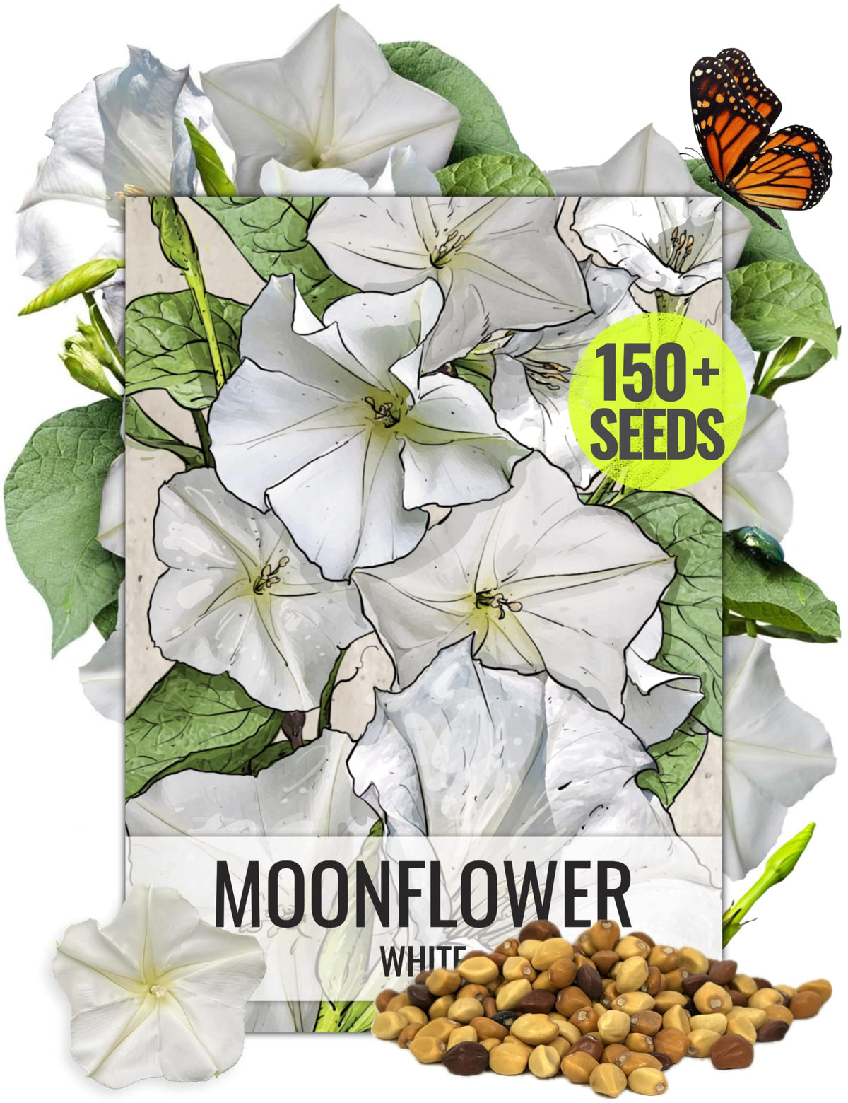 Seed Needs Moonflower seeds packaging illustration with sowing guidance.