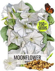 Seed Needs Moonflower seeds packaging illustration with sowing guidance.