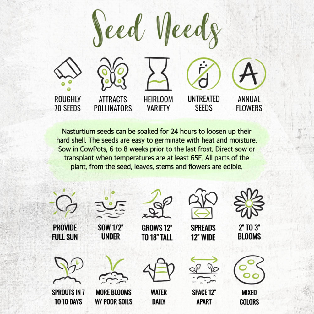 Seed Needs seeds suit containers, borders, or small garden beds.