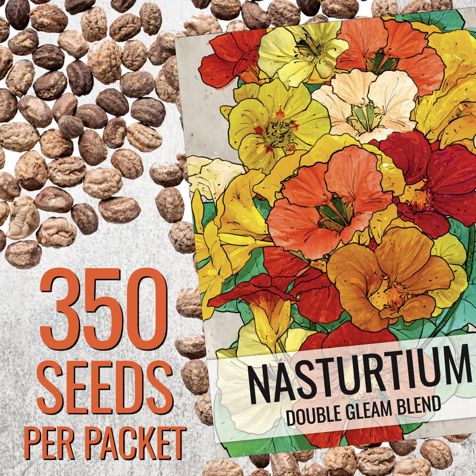 Seed Needs Nasturtium Double Gleam flower display; multi-hued petals brighten borders.