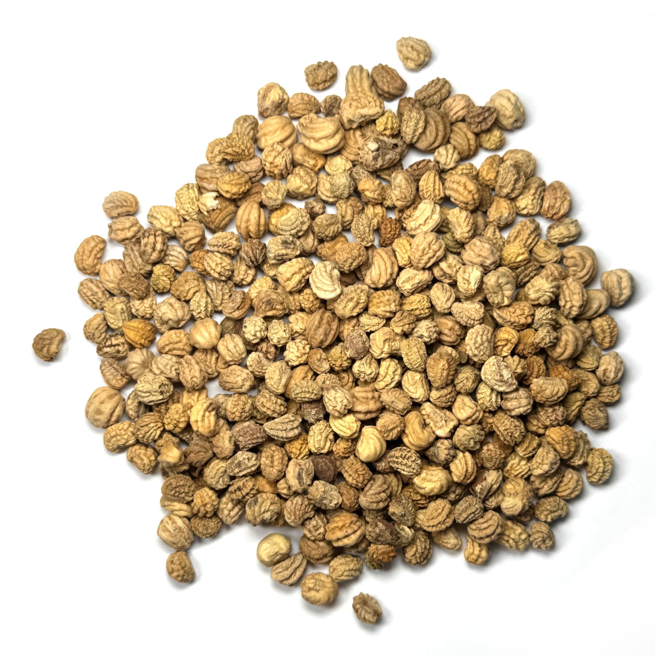Seed Needs Nasturtium Double Gleam trailing blooms for beds or baskets.